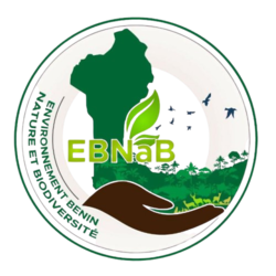 ONG EBNAB 